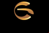 GoldenBet Casino Logo
